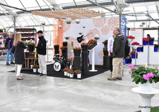 Visitors checking out the varieties of Syngenta.